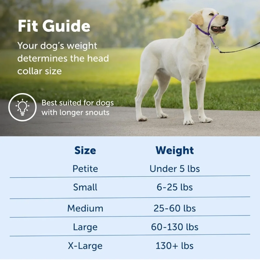 PetSafe easy walk
